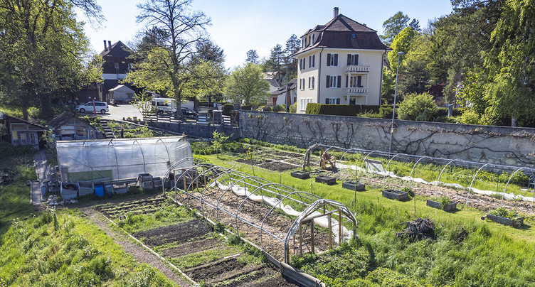 Caritas Jura veut faire de Montcroix un havre de biodiversité pour le public
