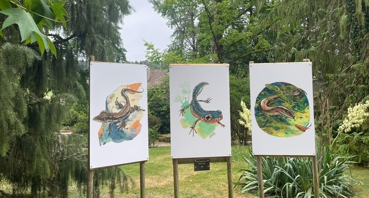 «Le Jardin de Guznag» : l’art et la nature s’entrelacent à Porrentruy